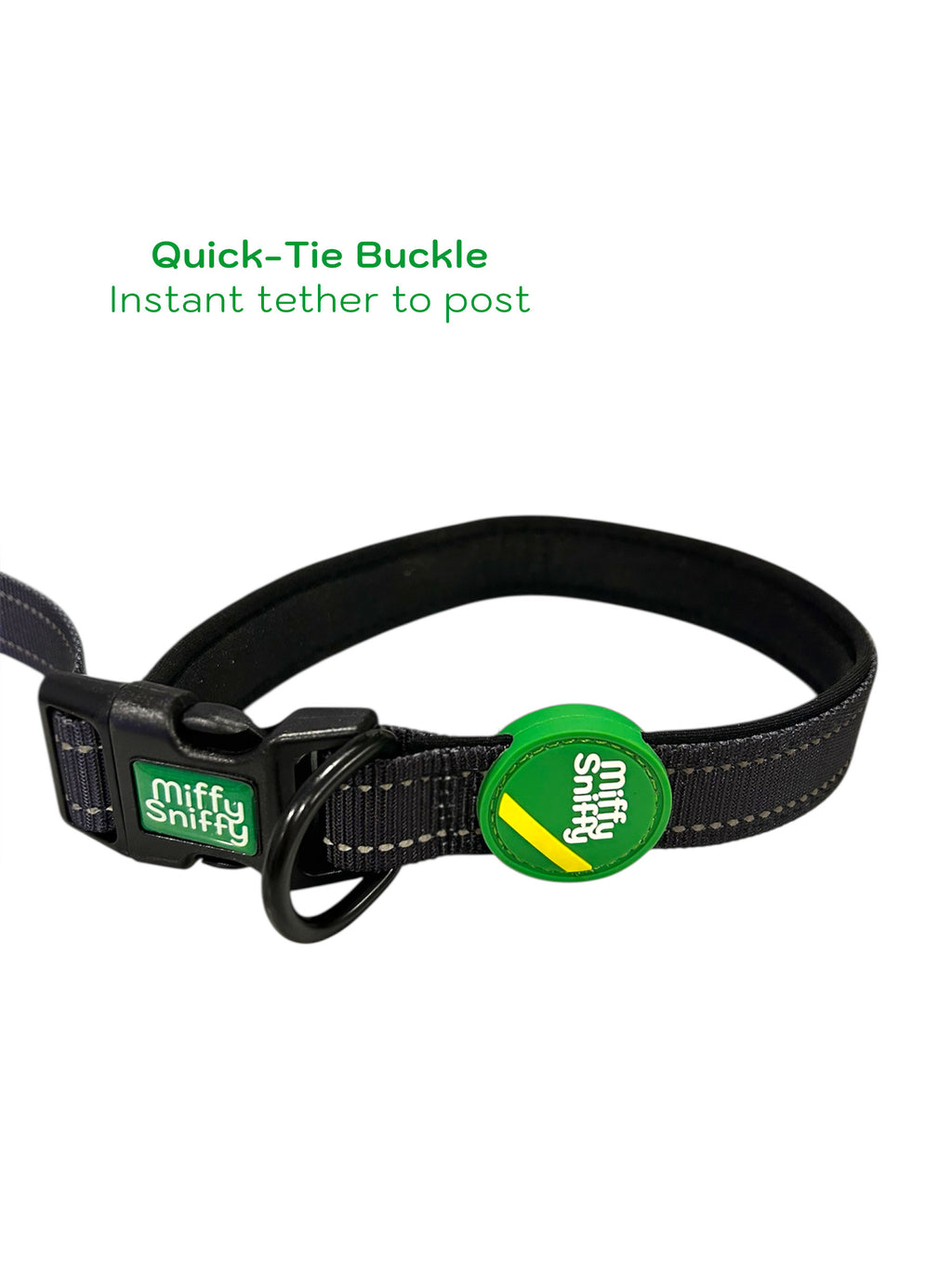 6-in-1 Dog Leash