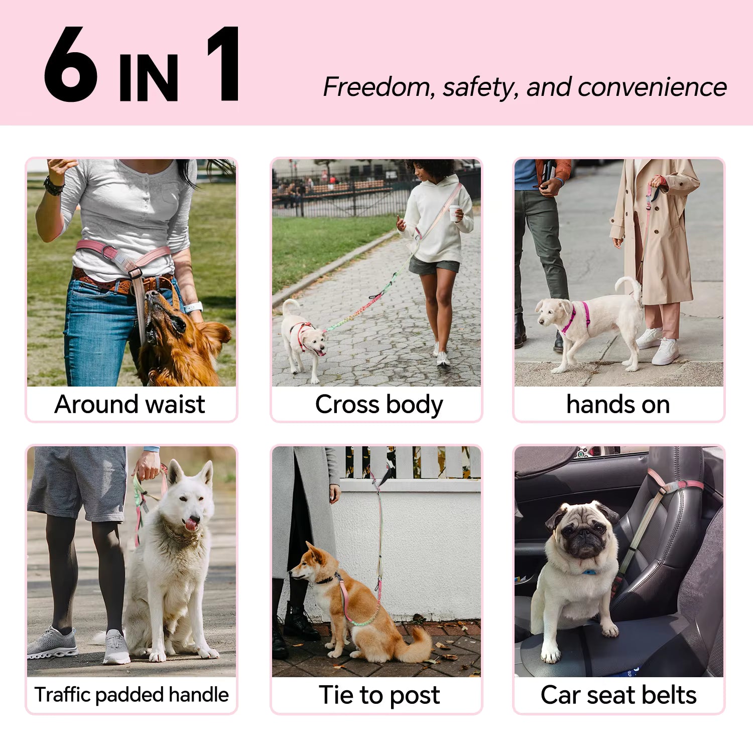 6-in-1 Dog Leash