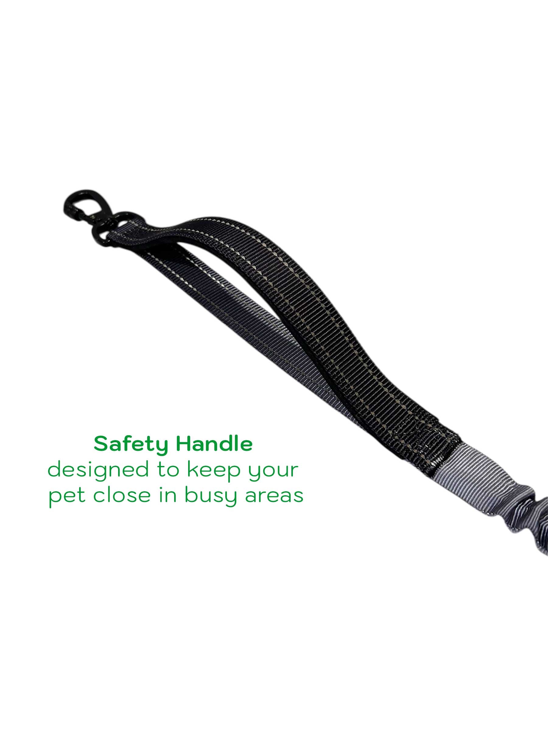 6-in-1 Dog Leash